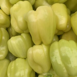 Ardei gras     per/kg