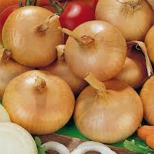 Ceapa     per/kg